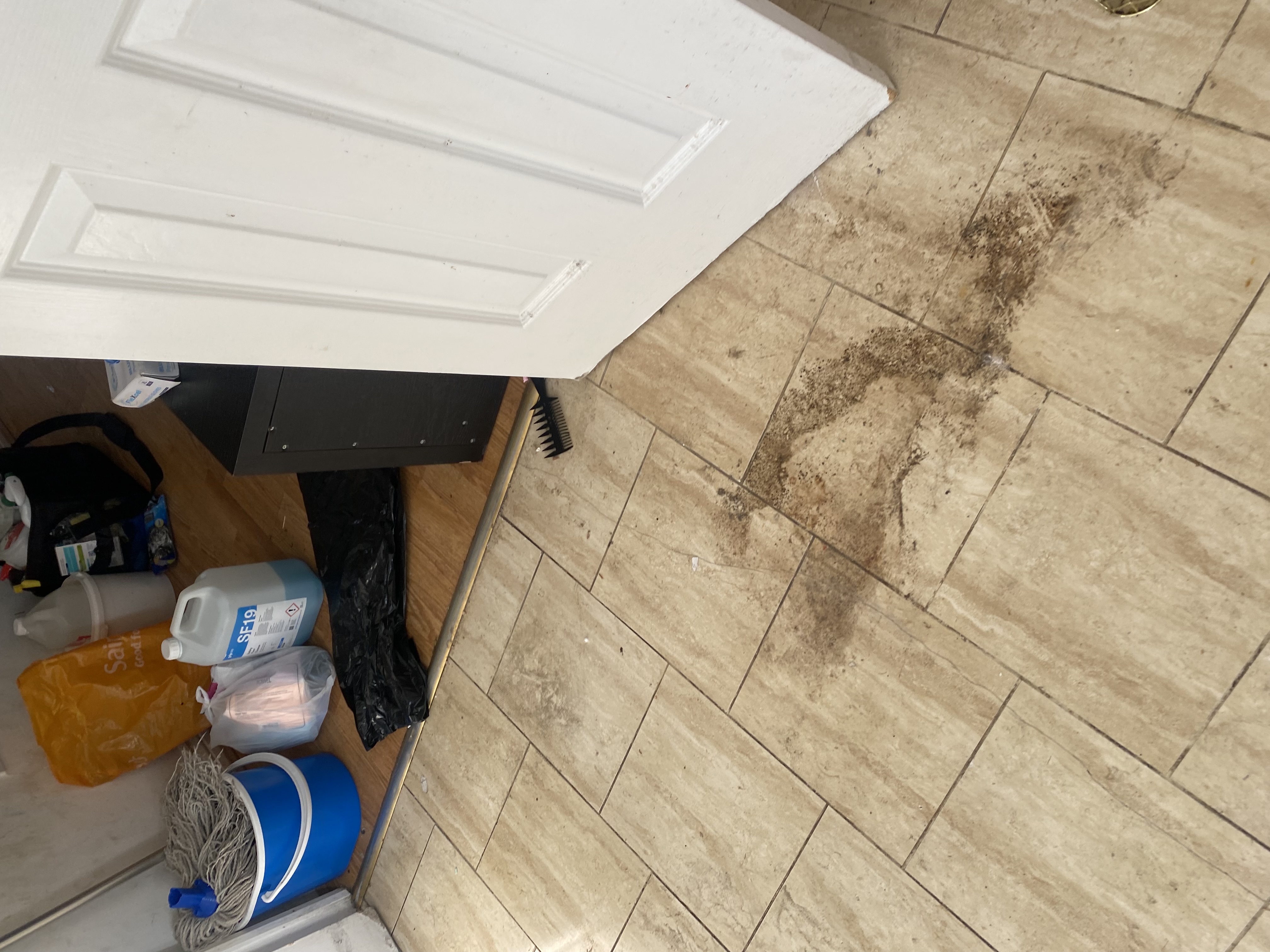 Kitchen floor and cabinet before cleaning